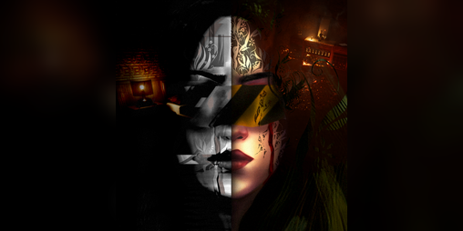 Cover image for Insomaniac
