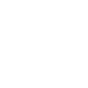 Cover image for Conqueror of Shapes