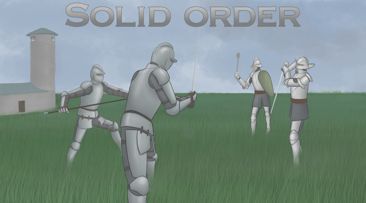 Cover image for Solid Order