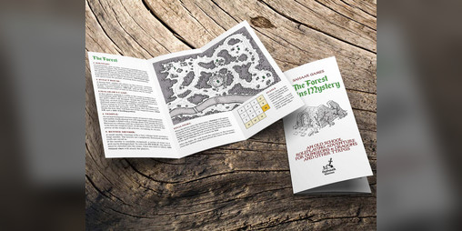 Cover image for The Forest Ruins Mystery