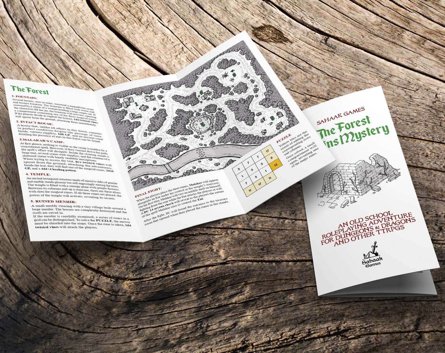 Cover image for The Forest Ruins Mystery