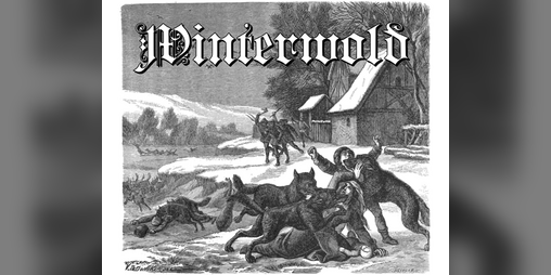 Cover image for Winterwold - Player's Handbook
