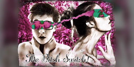 Cover image for The Bitch Switch!