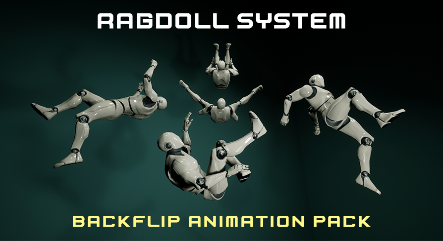 Ragdoll System / Backflip Animation Pack