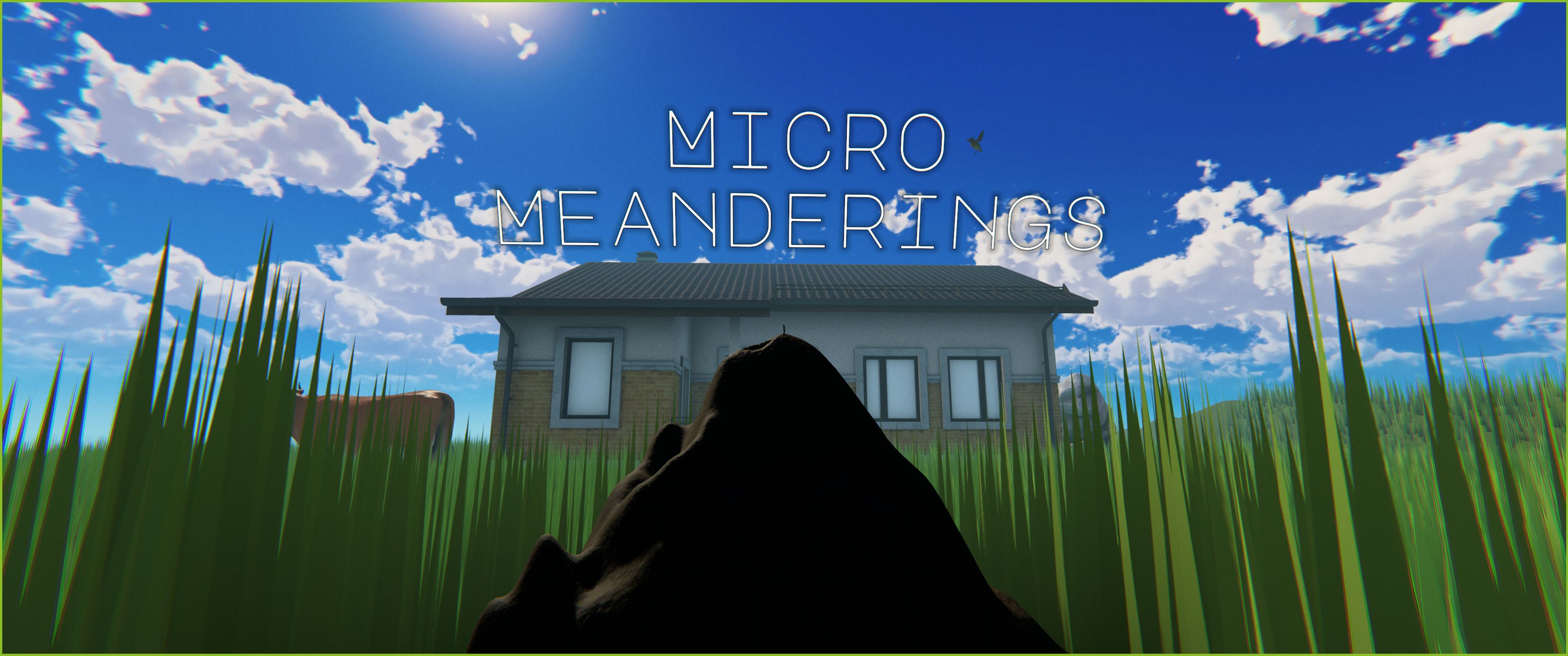 Micro Meanderings