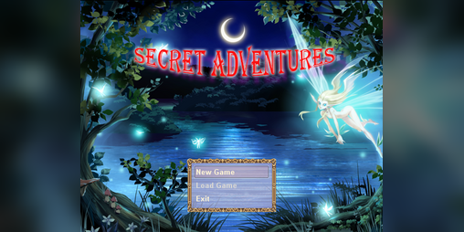 Cover image for Secret Adventures