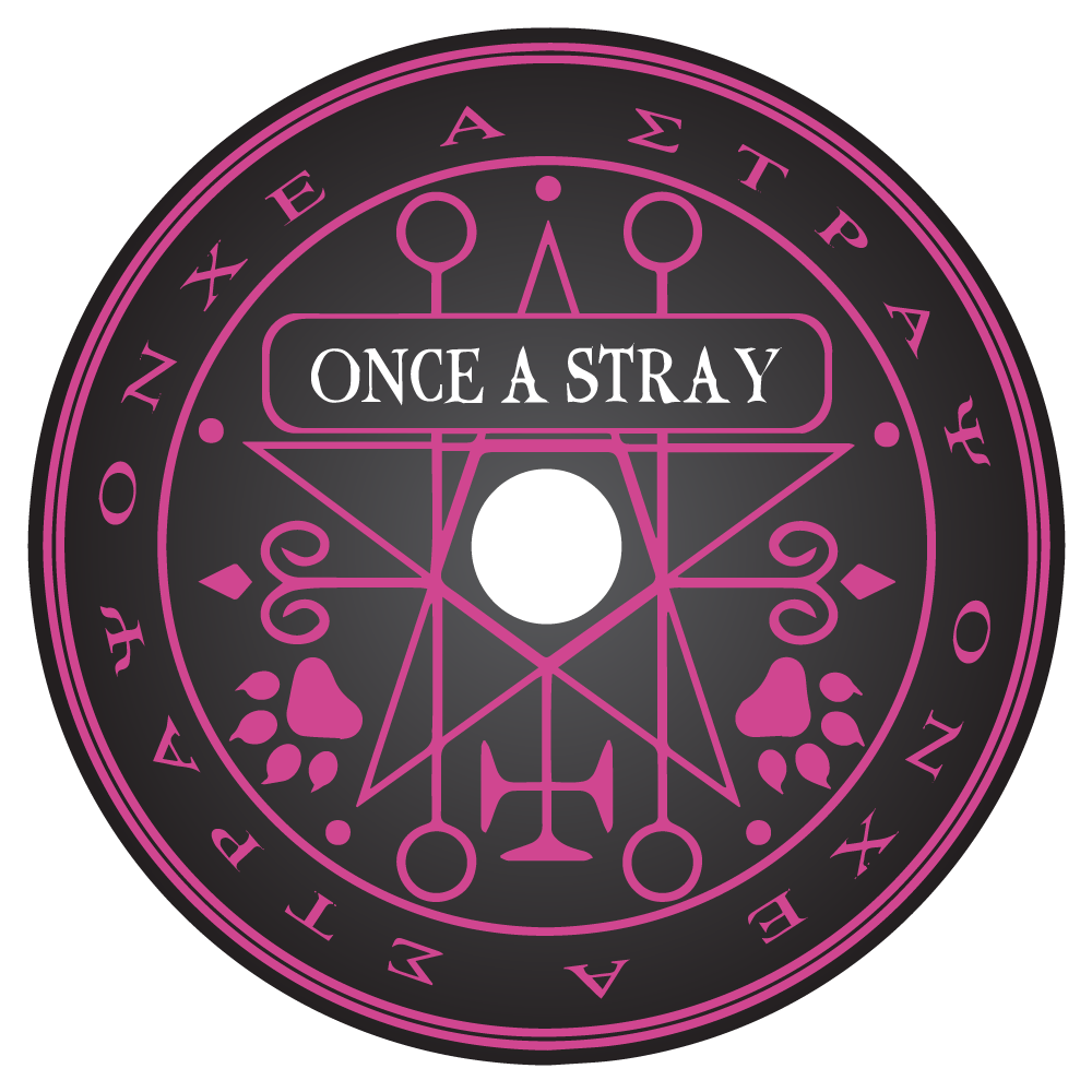Cover image for Once a Stray