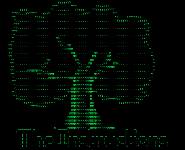 The Instructions