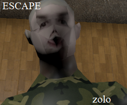 Cover image for Escape Zolo