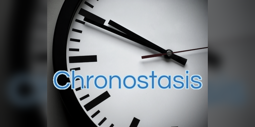 Cover image for Chronostasis