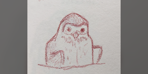 Cover image for A Word For A Bird