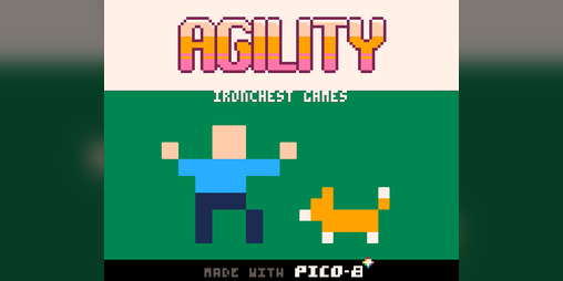 Cover image for Agility