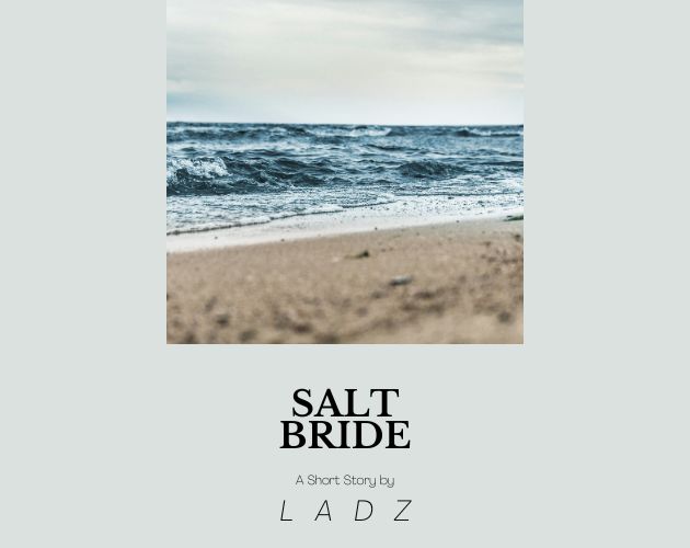 Cover image for Salt Bride