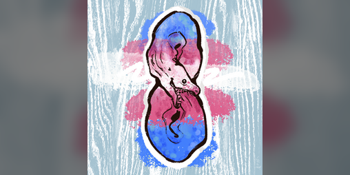 Cover image for Flags & Fins (pride 2024 art)