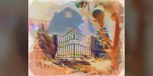 Cover image for Ramblemoor