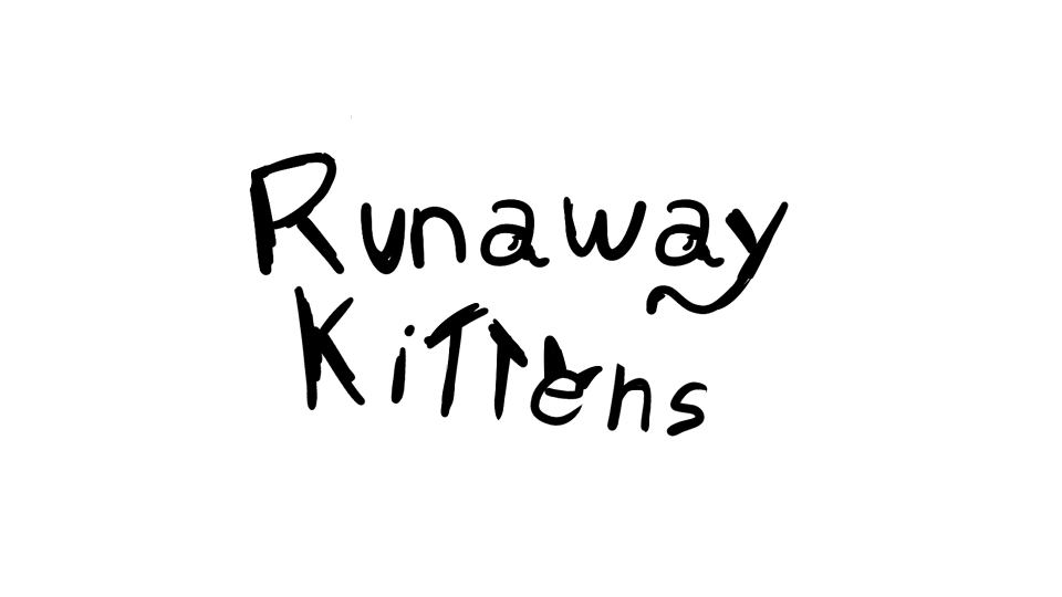 Runaway Kittens