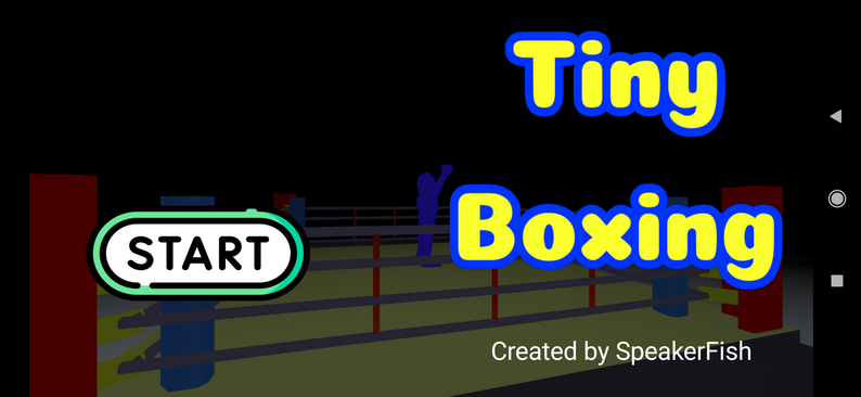TinyBoxing
