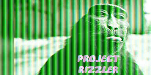 Cover image for Project Rizzler