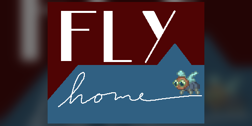 Cover image for Fly Home