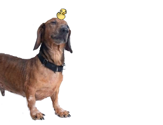 Cover image for Ernie's Big Day Out