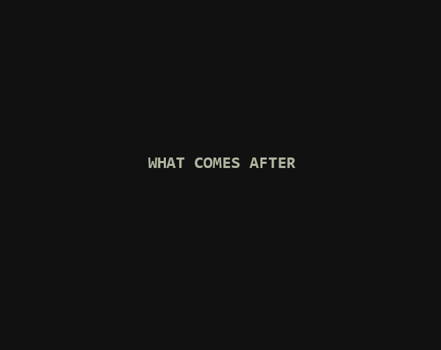 Cover image for what comes after