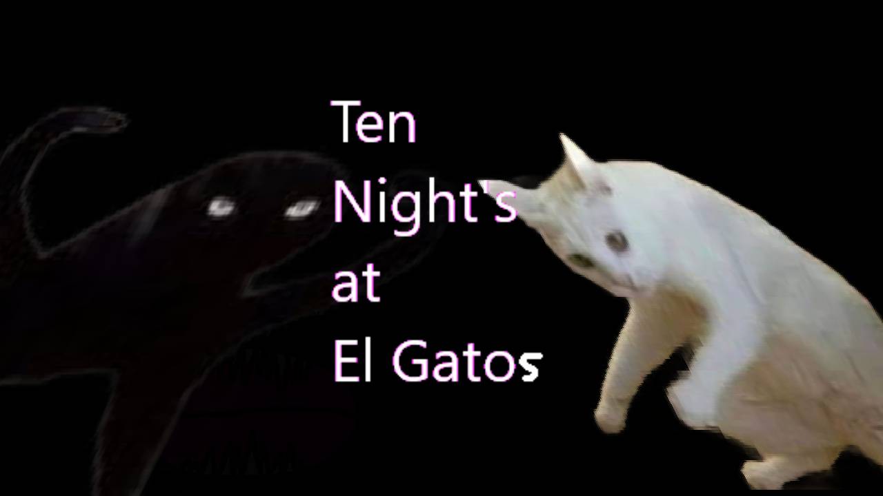 Ten Night's at El Gatos