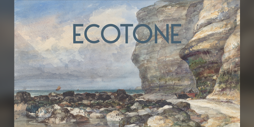 Cover image for Ecotone