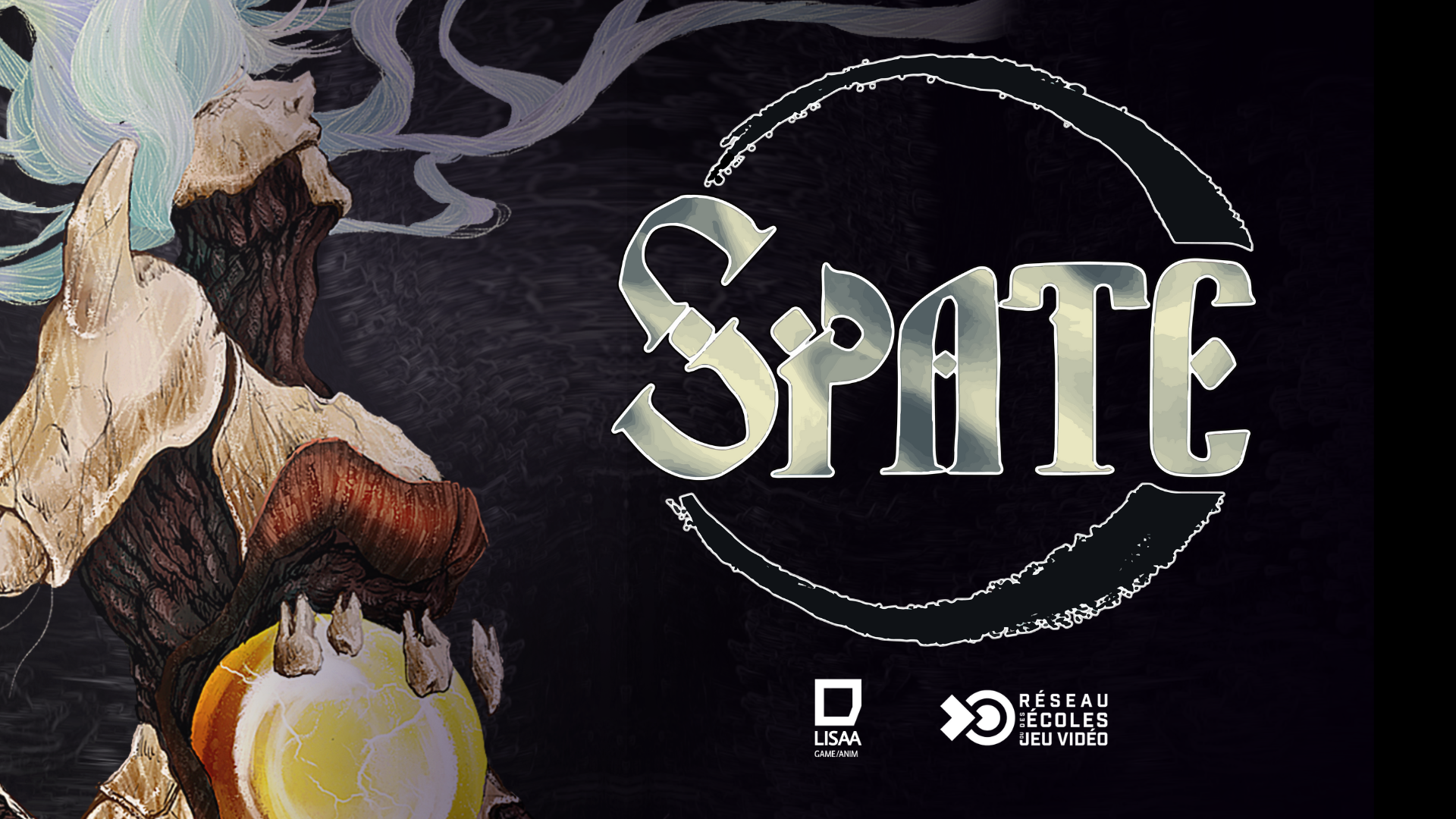 Cover image for SPATE