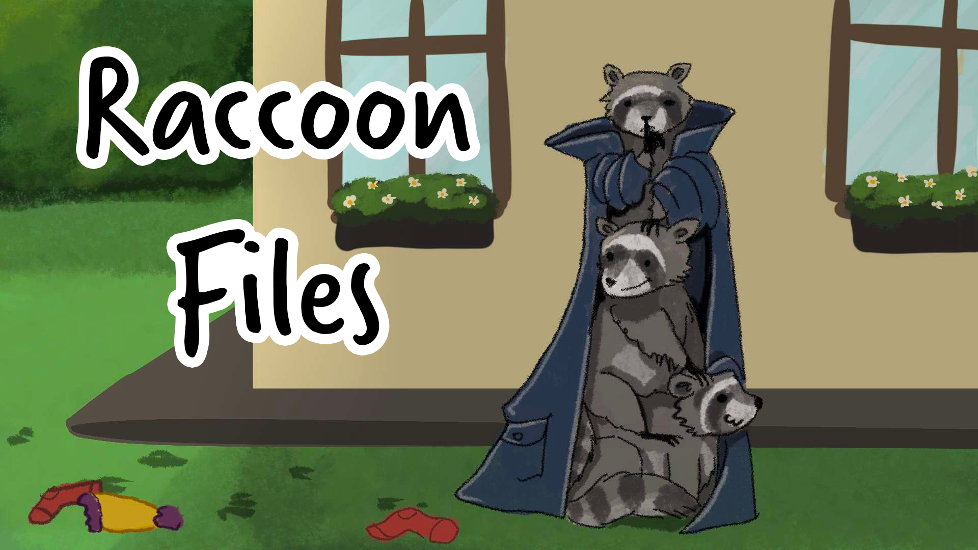 Cover image for Raccoon Files