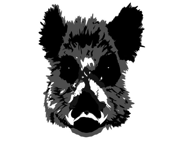 Cover image for THE CANTANKEROUS BOAR