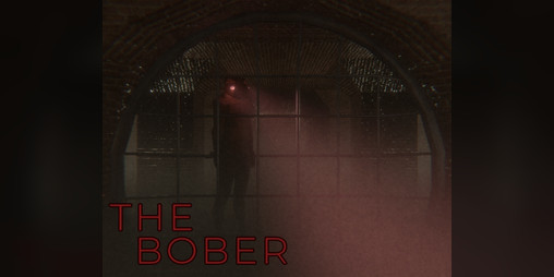 Cover image for The Bober