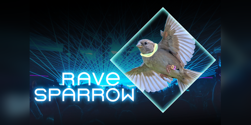 Cover image for RAVE SPARROW