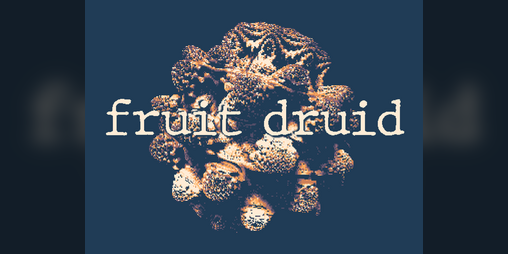 Cover image for Fruit Druid