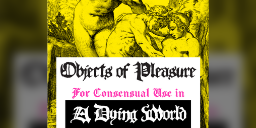 Cover image for Objects of Pleasure for Consensual Use in a Dying World