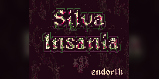 Cover image for Silva insania