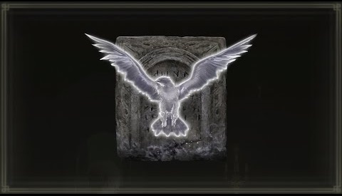 Cover image for Visions of Bird
