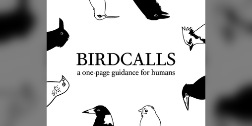 Cover image for Birdcalls