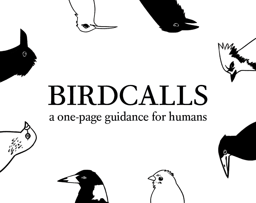birdcalls-by-rookery-games