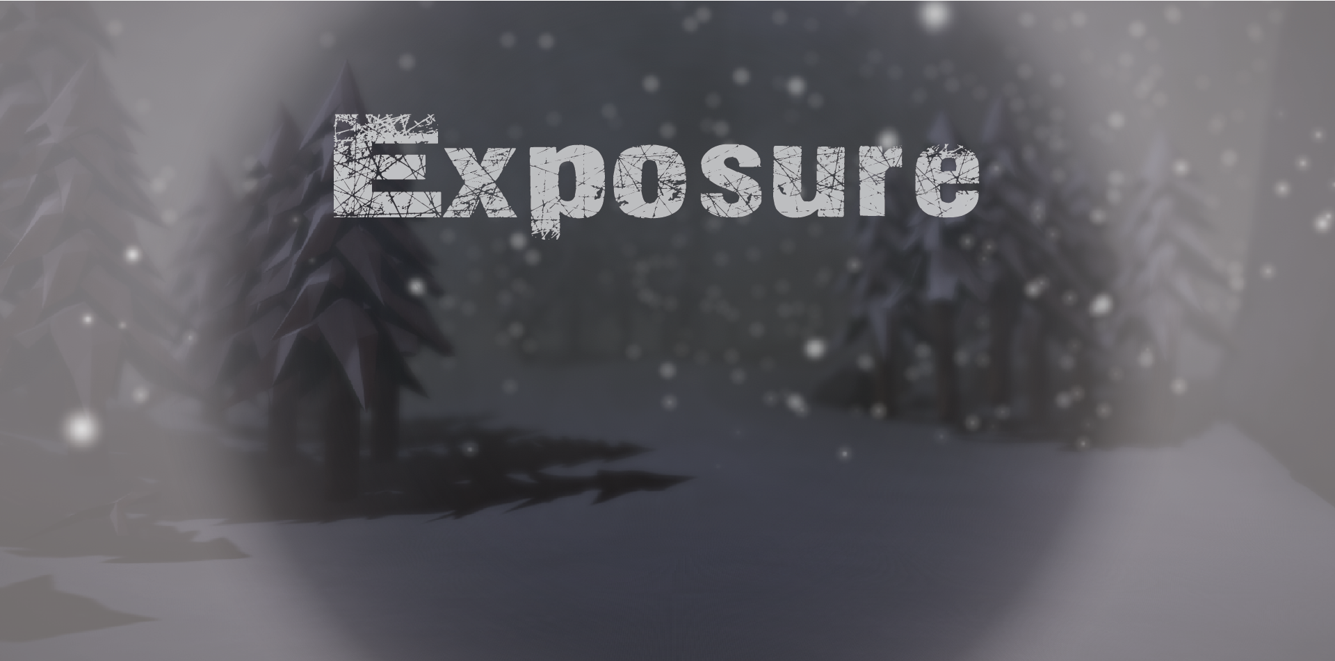 Cover image for Exposure