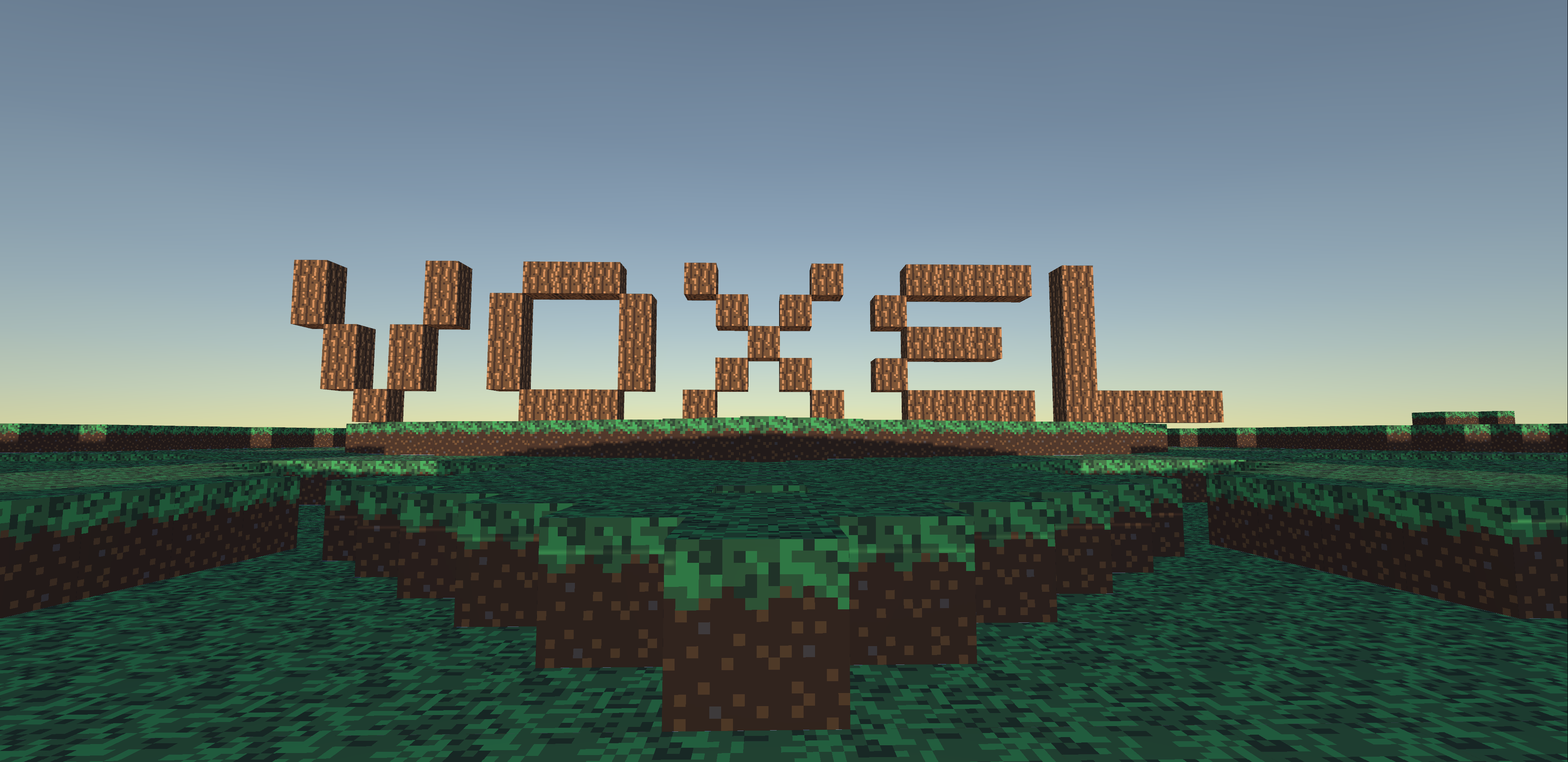 Voxel