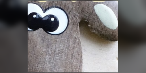 Cover image for The Sheep that wanted to fly