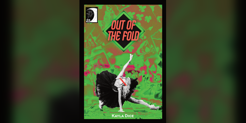 Cover image for Out of the Fold