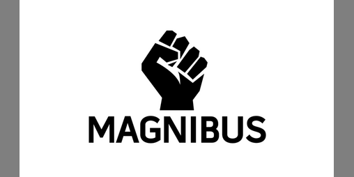 Cover image for Magnibus