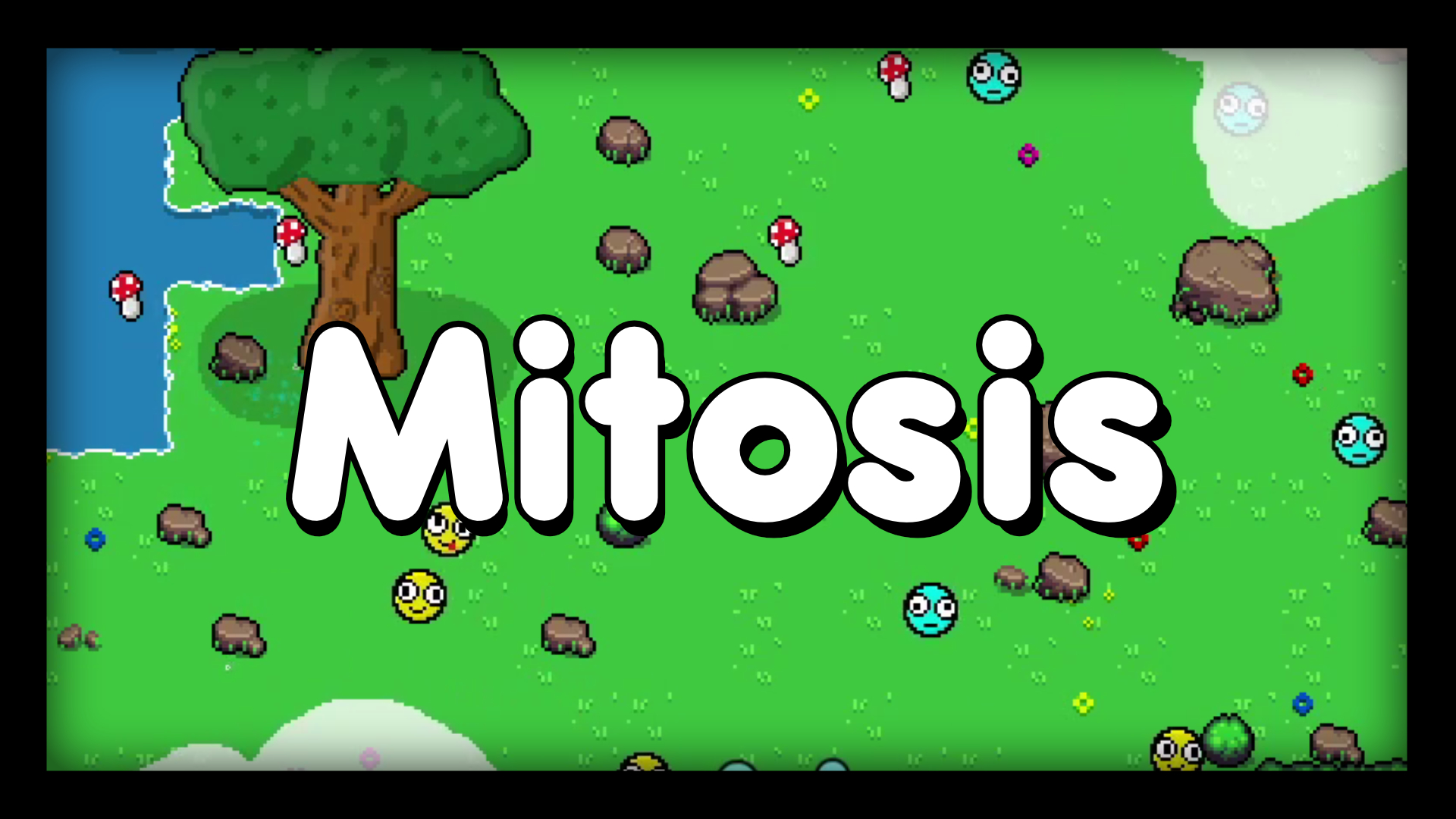 Mitosis
