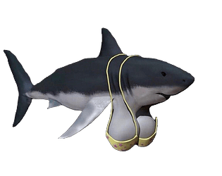 Booba Shark