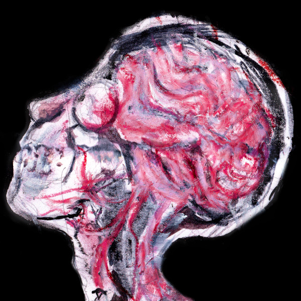 Cover image for GUT FEAR BOUNDARY