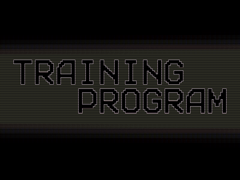 Cover image for TRAINING PROGRAM