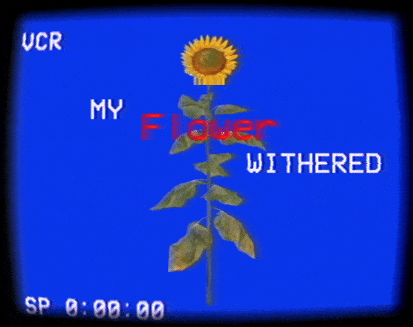 My Flower Withered cover