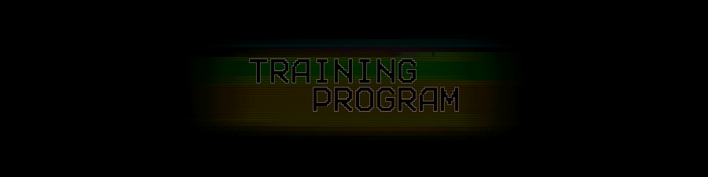 TRAINING PROGRAM