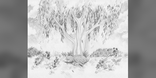 Cover image for SONAFLEKI